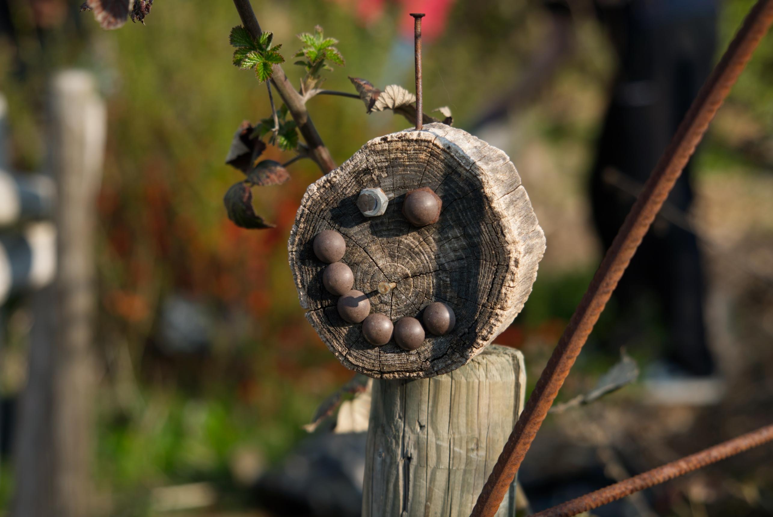 Jardin