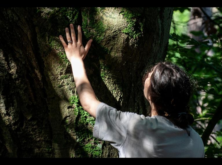 Une personne touche un arbre